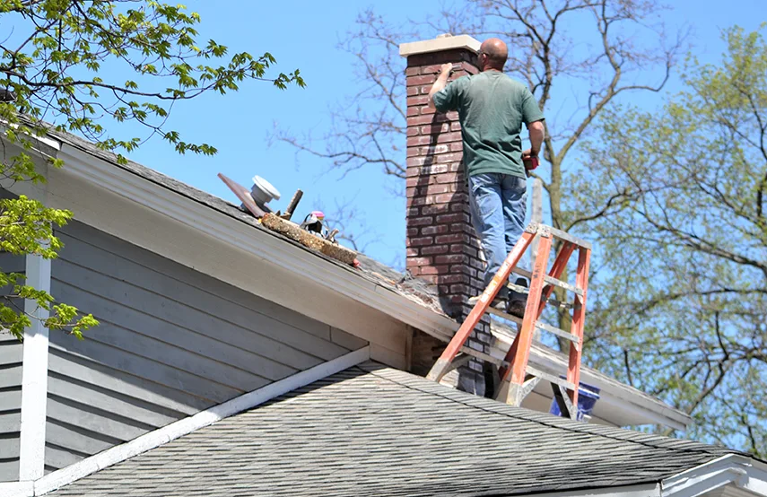 Chimney & Fireplace Inspections Services in Cedar Rapids, IA